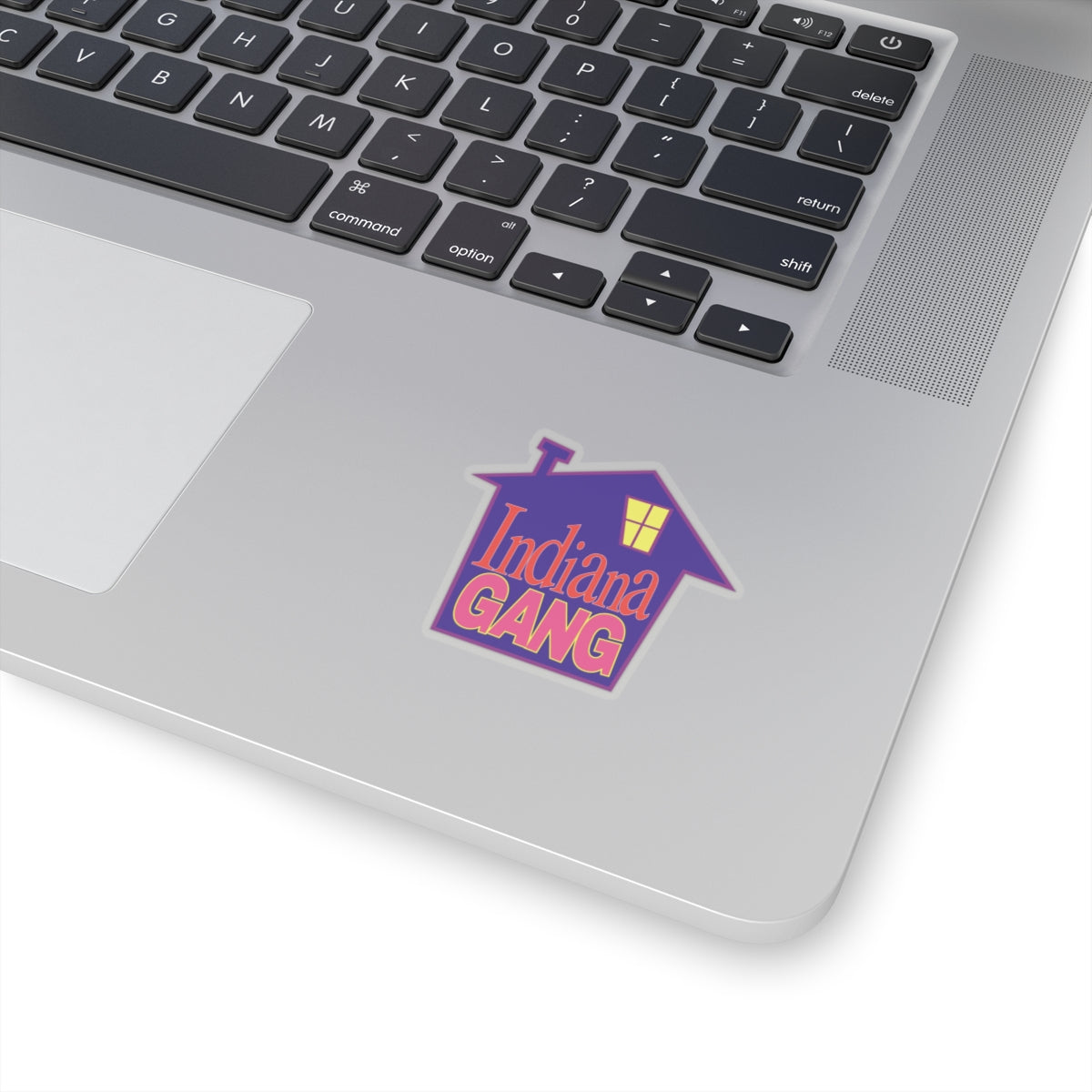 INDIANA GANG PARTY HOUSE STICKER ACCESSORY